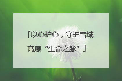 以心护心，守护雪域高原“生命之脉”