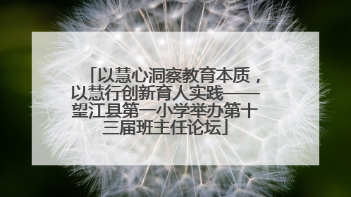 以慧心洞察教育本质，以慧行创新育人实践——望江县第一小学举办第十三届班主任论坛