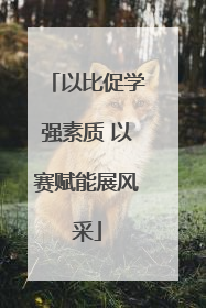 以比促学强素质 以赛赋能展风采