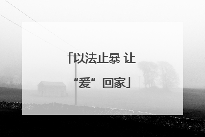 以法止暴 让“爱”回家