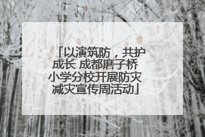 以演筑防，共护成长 成都磨子桥小学分校开展防灾减灾宣传周活动