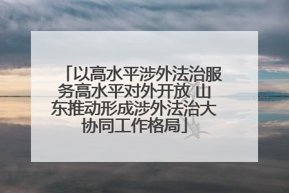 以高水平涉外法治服务高水平对外开放 山东推动形成涉外法治大协同工作格局