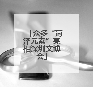 众多“菏泽元素”亮相深圳文博会