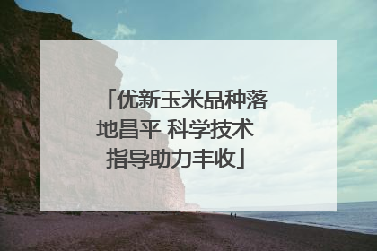 优新玉米品种落地昌平 科学技术指导助力丰收