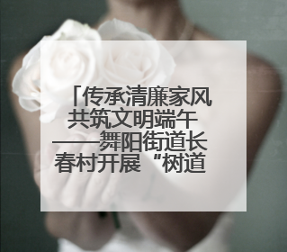 传承清廉家风 共筑文明端午——舞阳街道长春村开展“树道德新风 扬端午文化”主题活动