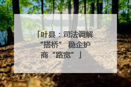 叶县：司法调解“搭桥” 稳企护商“路宽”