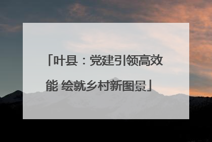叶县：党建引领高效能 绘就乡村新图景