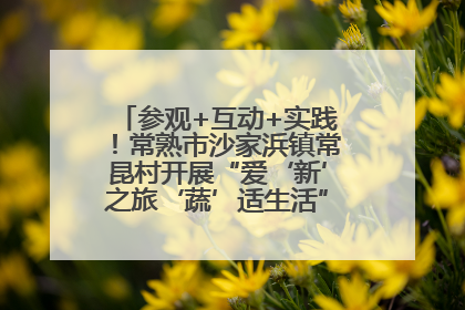 参观+互动+实践！常熟市沙家浜镇常昆村开展“爱‘新’之旅‘蔬’适生活”参观学习活动
