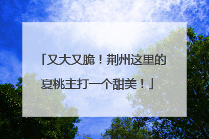 又大又脆！荆州这里的夏桃主打一个甜美！