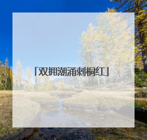 双拥潮涌刺桐红