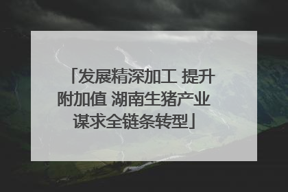 发展精深加工 提升附加值 湖南生猪产业谋求全链条转型