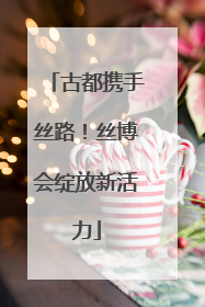 古都携手丝路！丝博会绽放新活力