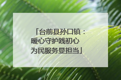 台前县孙口镇：暖心守护践初心 为民服务显担当
