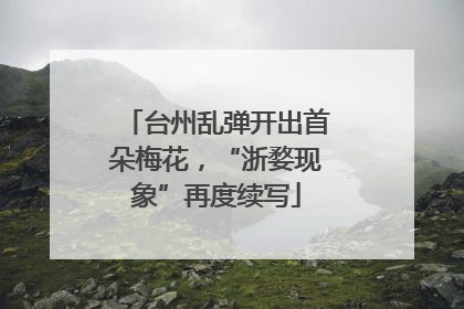 台州乱弹开出首朵梅花，“浙婺现象”再度续写