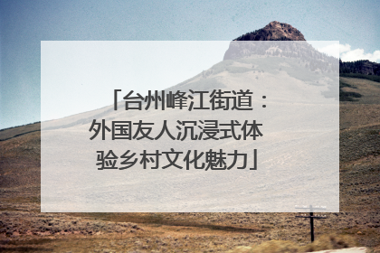 台州峰江街道：外国友人沉浸式体验乡村文化魅力