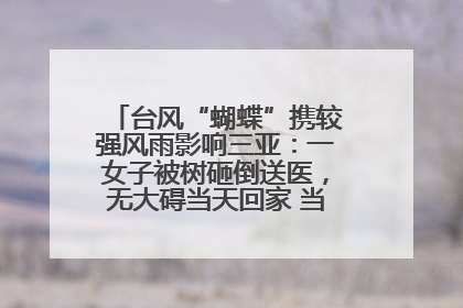 台风“蝴蝶”携较强风雨影响三亚：一女子被树砸倒送医，无大碍当天回家 当地已紧急清障