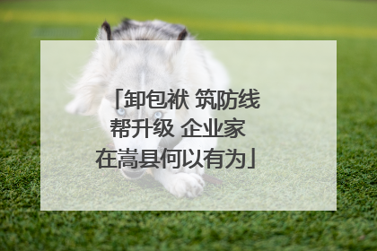 卸包袱 筑防线 帮升级 企业家在嵩县何以有为