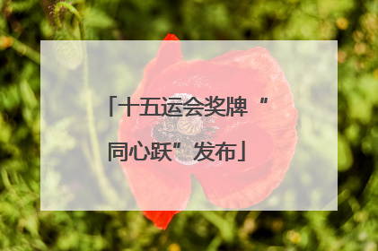 十五运会奖牌“同心跃”发布