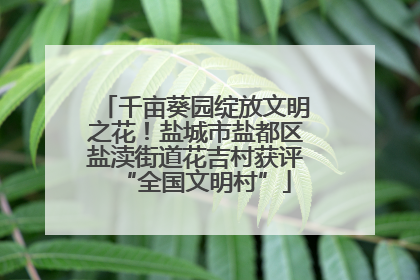 千亩葵园绽放文明之花！盐城市盐都区盐渎街道花吉村获评“全国文明村”