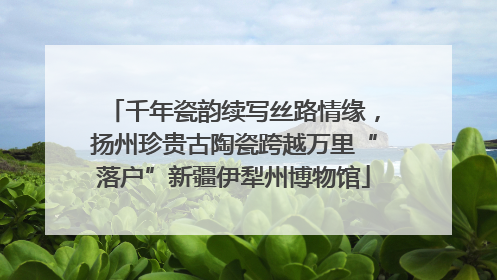 千年瓷韵续写丝路情缘，扬州珍贵古陶瓷跨越万里“落户”新疆伊犁州博物馆