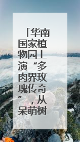 华南国家植物园上演“多肉界玫瑰传奇”，从呆萌树干到炸裂种子全是戏！