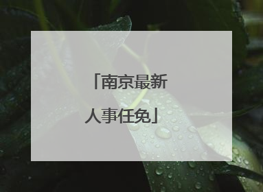 南京最新人事任免