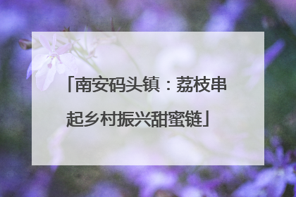 南安码头镇：荔枝串起乡村振兴甜蜜链