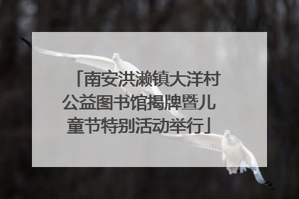 南安洪濑镇大洋村公益图书馆揭牌暨儿童节特别活动举行
