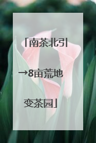 南茶北引→8亩荒地变茶园