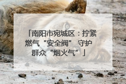南阳市宛城区：拧紧燃气“安全阀” 守护群众“烟火气”