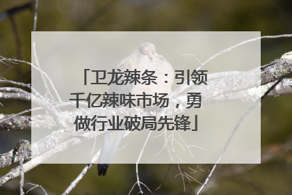卫龙辣条：引领千亿辣味市场，勇做行业破局先锋