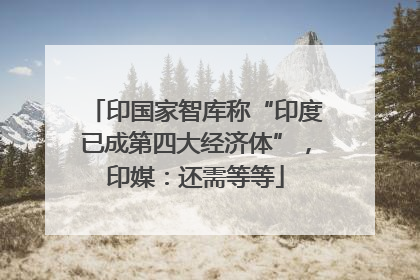 印国家智库称“印度已成第四大经济体”，印媒：还需等等