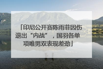 印尼公开赛陈雨菲因伤退出“内战”，国羽各单项唯男双表现差劲