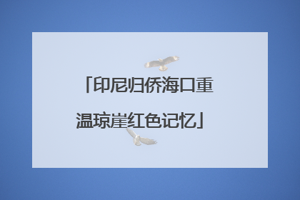 印尼归侨海口重温琼崖红色记忆