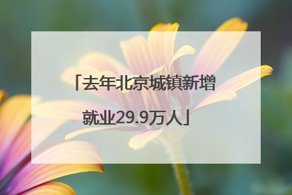去年北京城镇新增就业29.9万人