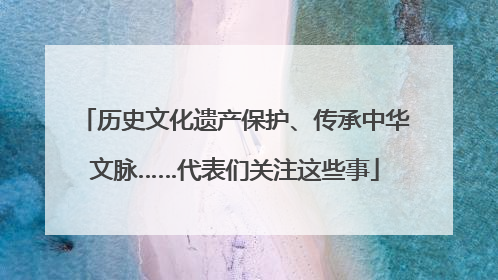 历史文化遗产保护、传承中华文脉……代表们关注这些事