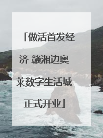 做活首发经济 赣湘边奥莱数字生活城正式开业