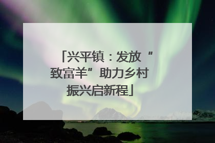 兴平镇：发放“致富羊”助力乡村振兴启新程