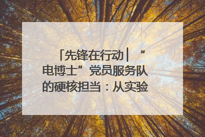 先锋在行动 ▏“电博士”党员服务队的硬核担当：从实验室到抗洪一线