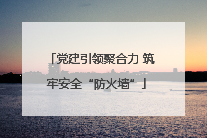 党建引领聚合力 筑牢安全“防火墙”
