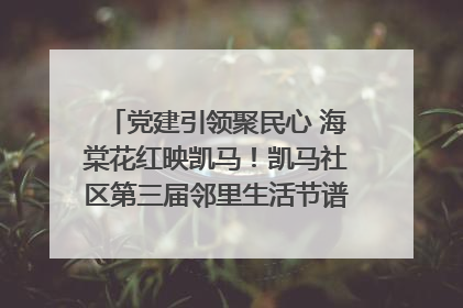 党建引领聚民心 海棠花红映凯马！凯马社区第三届邻里生活节谱写幸福新篇章