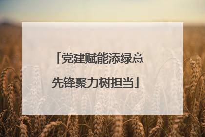 党建赋能添绿意 先锋聚力树担当