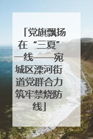党旗飘扬在“三夏”一线——宛城区溧河街道党群合力筑牢禁烧防线