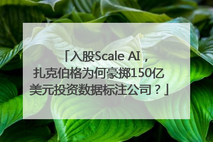 入股Scale AI，扎克伯格为何豪掷150亿美元投资数据标注公司？