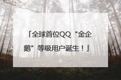 全球首位QQ“金企鹅”等级用户诞生！