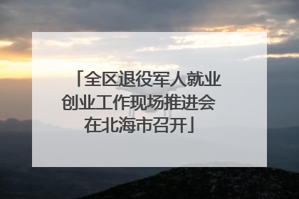 全区退役军人就业创业工作现场推进会在北海市召开