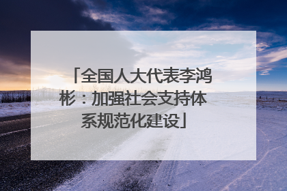 全国人大代表李鸿彬：加强社会支持体系规范化建设