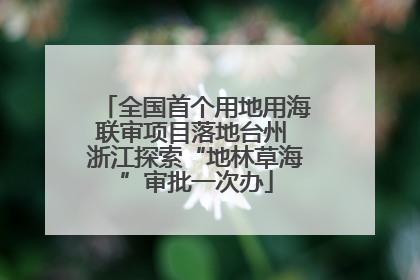 全国首个用地用海联审项目落地台州 浙江探索“地林草海”审批一次办