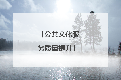 公共文化服务质量提升