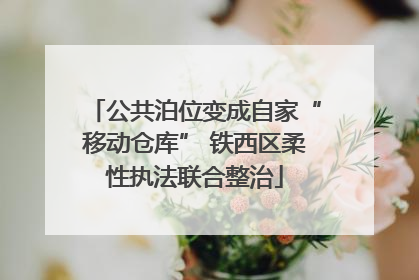 公共泊位变成自家“移动仓库” 铁西区柔性执法联合整治